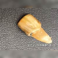 画像290