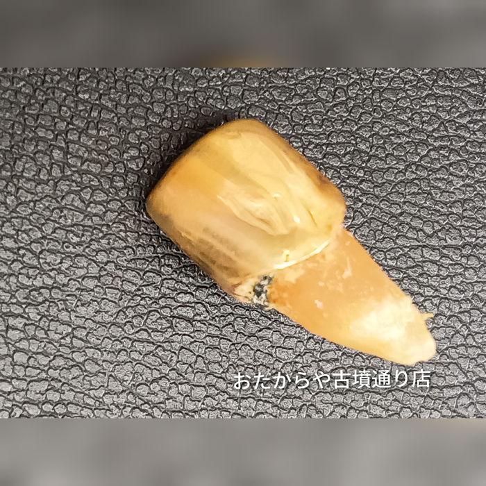 画像290